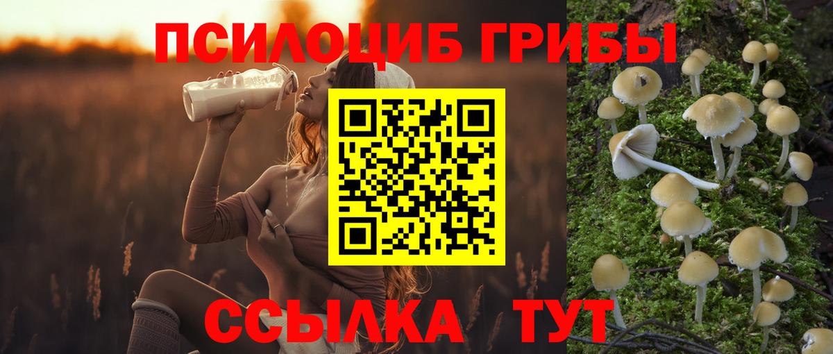 Галлюциногенные грибы мухоморы Ярославль